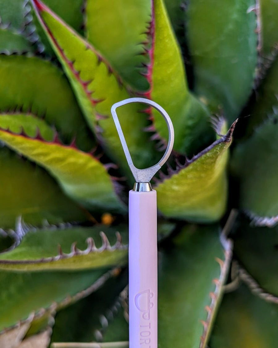 Lilac Tortuga trimming tool held up in a green agave